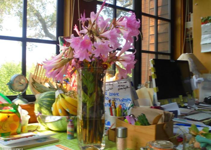 A small vase of seasonal stems on a café counter beside a coffee machine